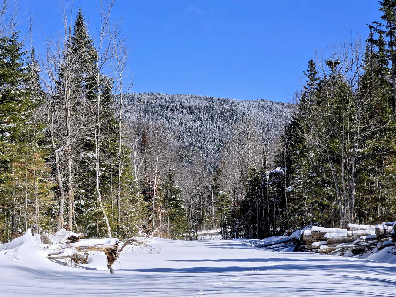 Lot 1 Main Street Sandy River Plt, ME 04970 - Photo 2 of 27 20260325_113656~2_result