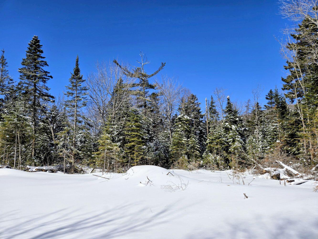 Lot 1 Main Street Sandy River Plt, ME 04970 - Photo 21 of 27 20260325_113601~2_result
