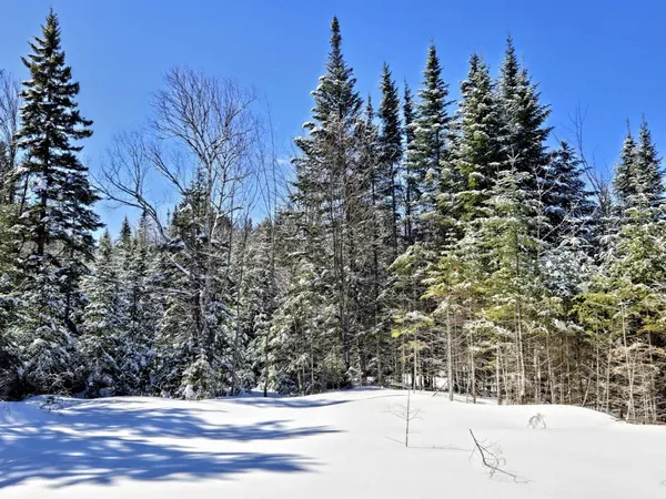 $435,000 | Lot 1 Main Street, Sandy River Plt, ME 04970