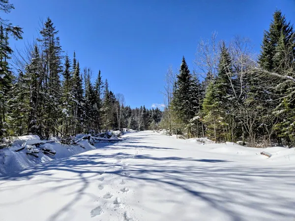 $435,000 | Lot 1 Main Street, Sandy River Plt, ME 04970