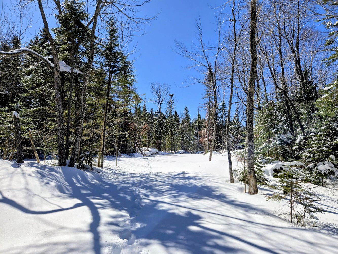 Lot 1 Main Street Sandy River Plt, ME 04970 - Photo 24 of 27 20260325_113933~2_result