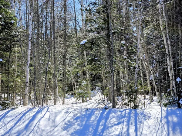 $435,000 | Lot 1 Main Street, Sandy River Plt, ME 04970