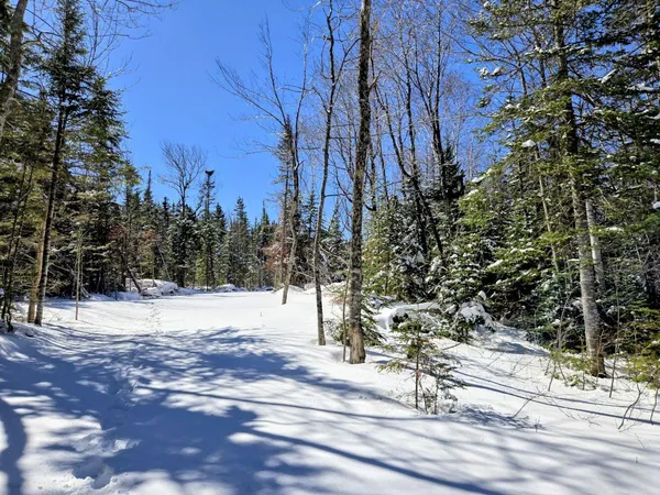 $435,000 | Lot 1 Main Street, Sandy River Plt, ME 04970
