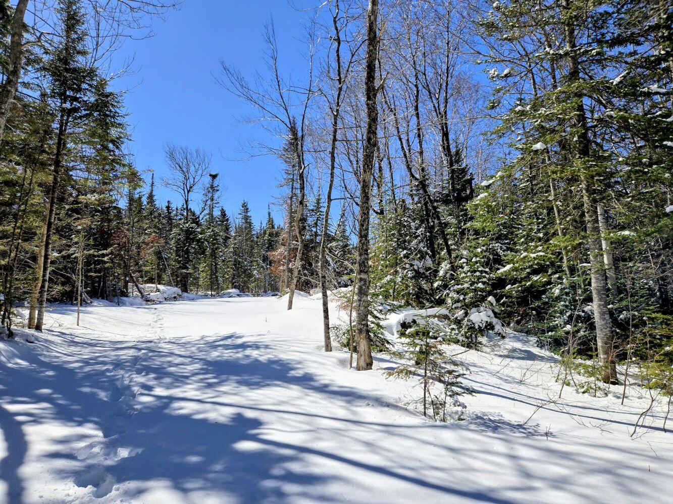 Lot 1 Main Street Sandy River Plt, ME 04970 - Photo 3 of 27 20260325_113935~2_result