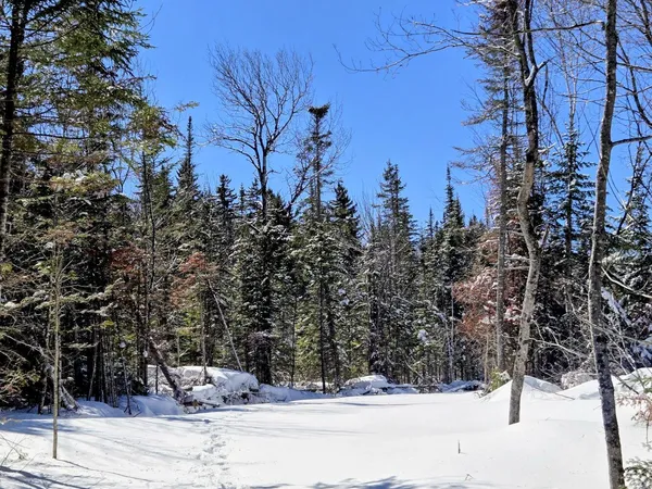 $435,000 | Lot 1 Main Street, Sandy River Plt, ME 04970