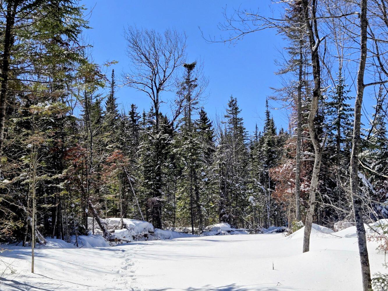 Lot 1 Main Street Sandy River Plt, ME 04970 - Photo 4 of 27 20260325_113940~2_result