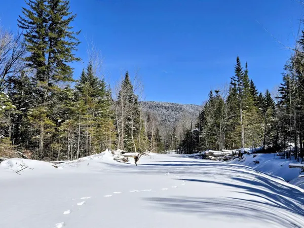 $435,000 | Lot 1 Main Street, Sandy River Plt, ME 04970