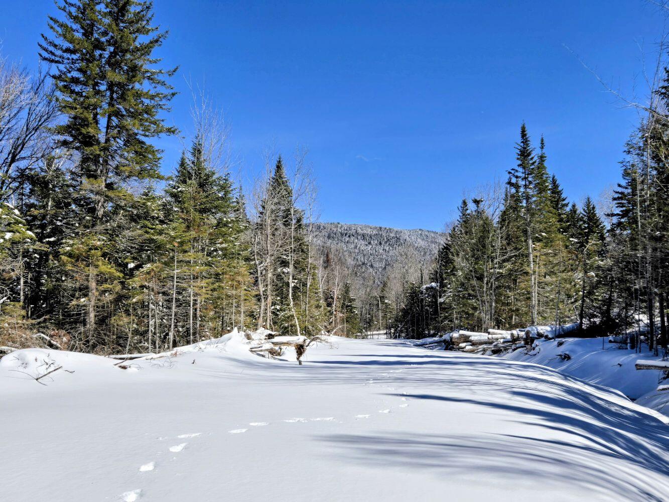 Lot 1 Main Street Sandy River Plt, ME 04970 - Photo 5 of 27 20260325_113653~2_result