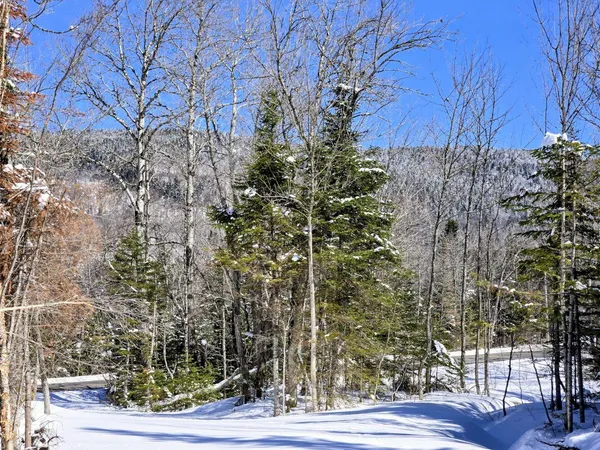 $435,000 | Lot 1 Main Street, Sandy River Plt, ME 04970