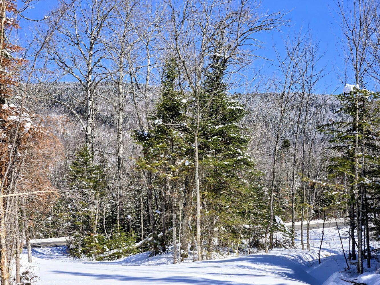 Lot 1 Main Street Sandy River Plt, ME 04970 - Photo 8 of 27 20260325_113403~2_result