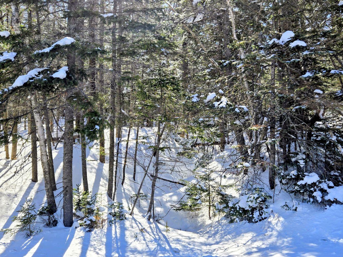 Lot 1 Main Street Sandy River Plt, ME 04970 - Photo 10 of 27 20260325_112334~2_result