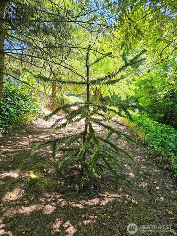 $525,000 | 701 Northeast 117th Street, Vancouver, WA 98685