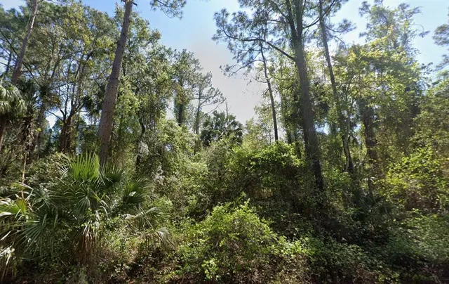 $8,499 | 303 Siesta Drive, Georgetown, FL 32139