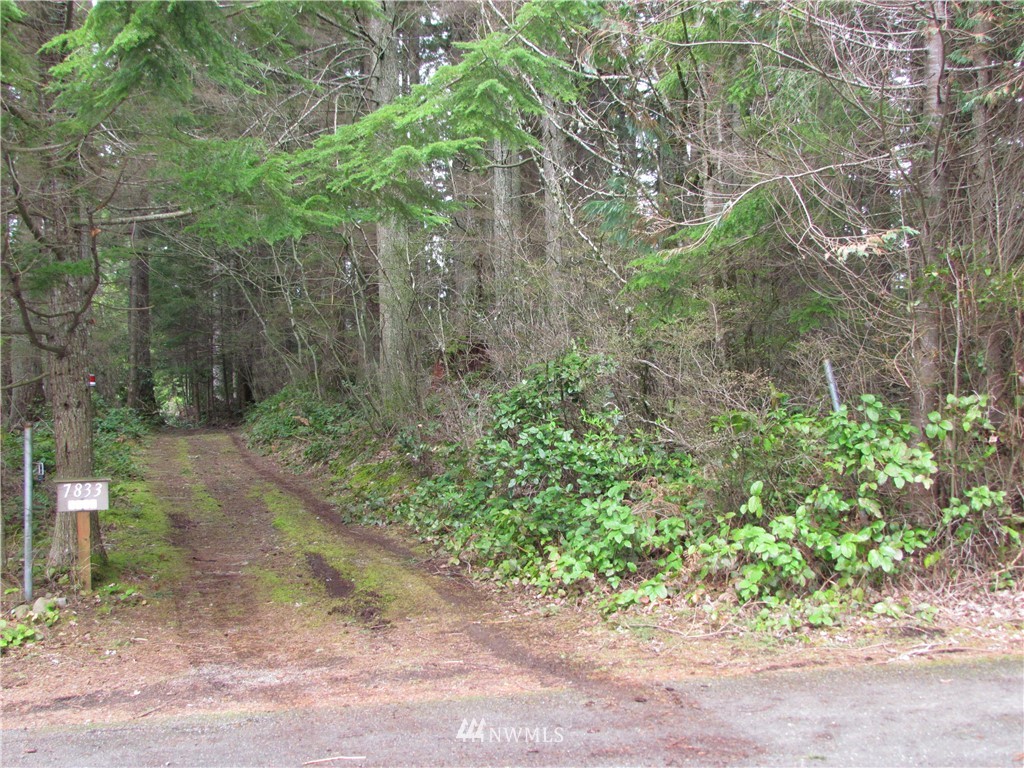 7833 Lake Alice Road Southeast Fall City, WA 98024 - Photo 7 of 9 Gallery Image 7