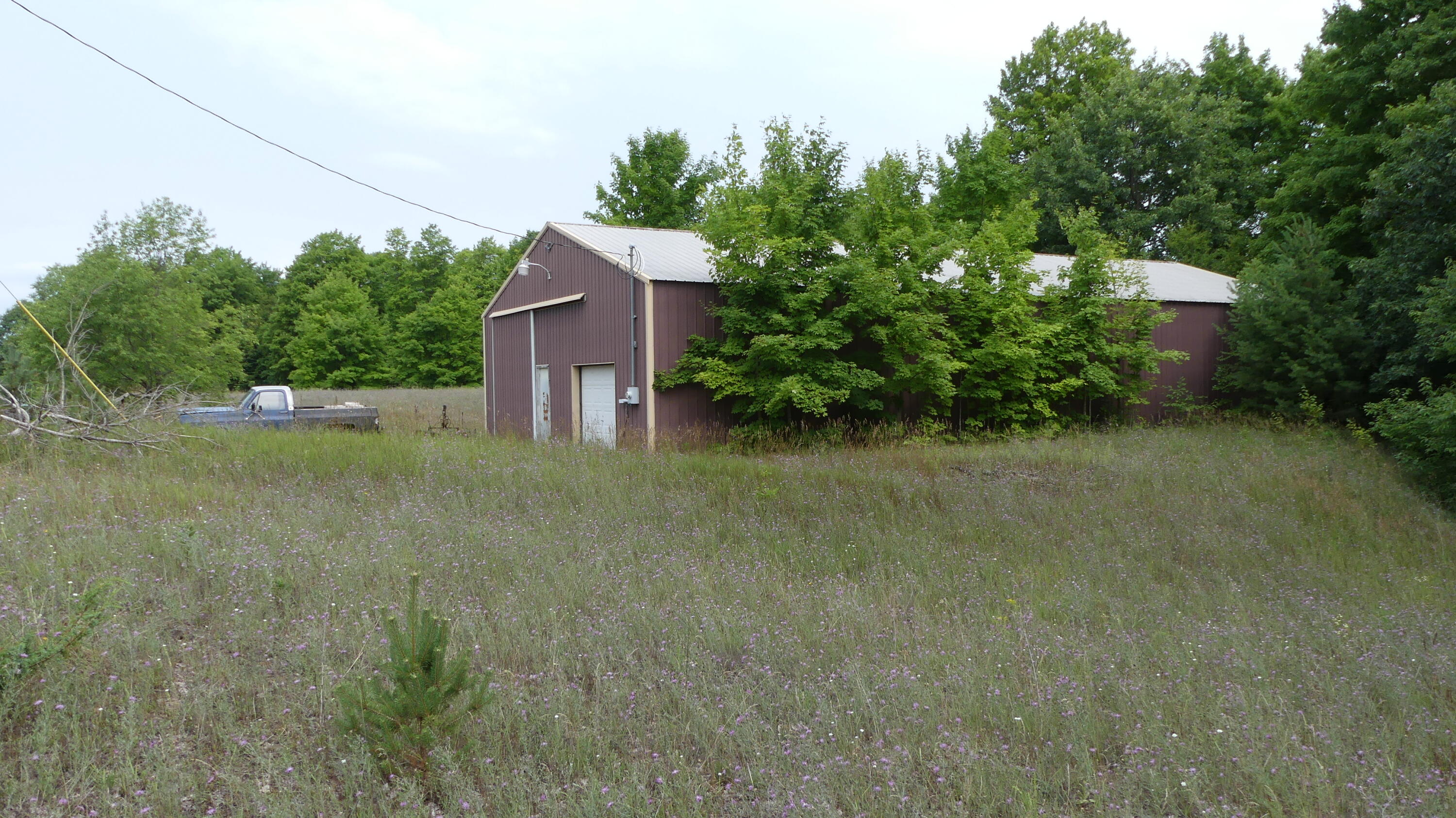 12017 Marilla Road Copemish, MI 49625 - Photo 12 of 43 P1050934