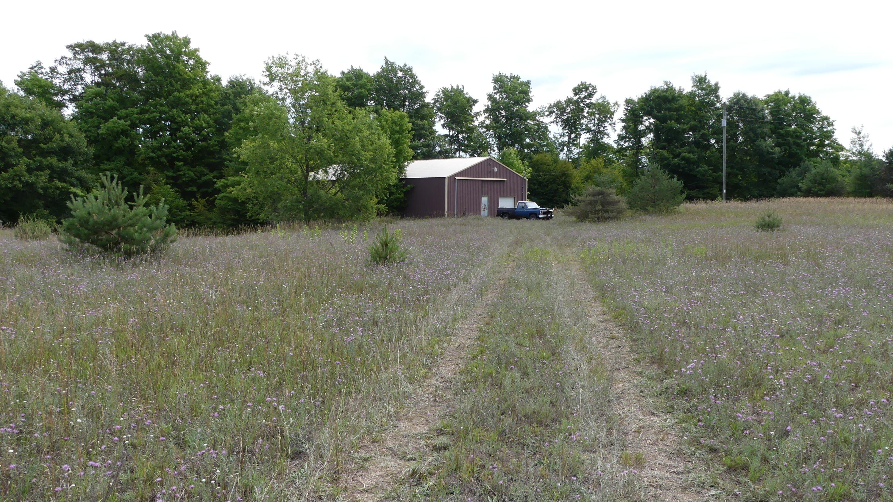12017 Marilla Road Copemish, MI 49625 - Photo 14 of 43 P1050936