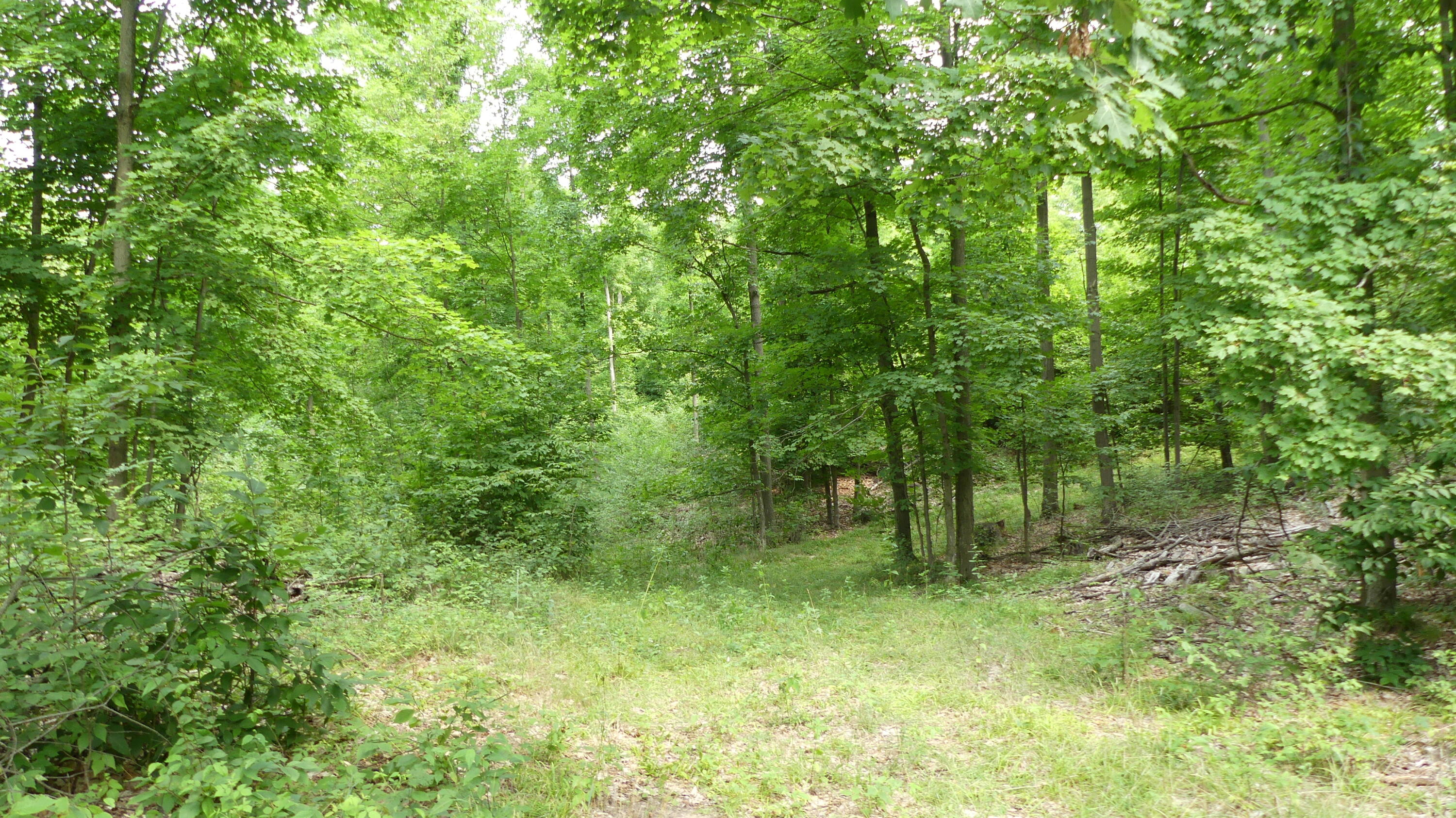 12017 Marilla Road Copemish, MI 49625 - Photo 20 of 43 P1050960
