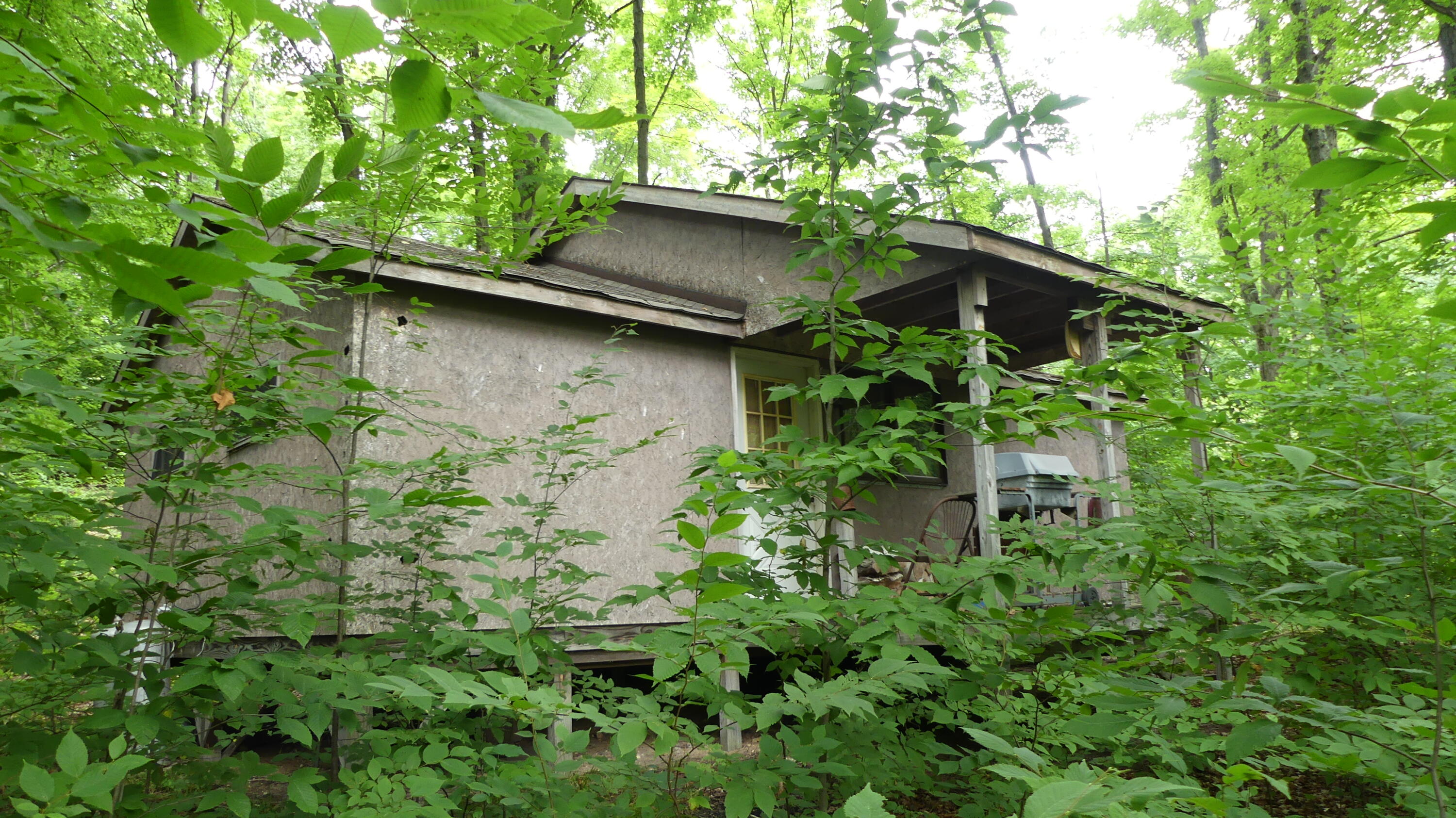 12017 Marilla Road Copemish, MI 49625 - Photo 25 of 43 P1050966