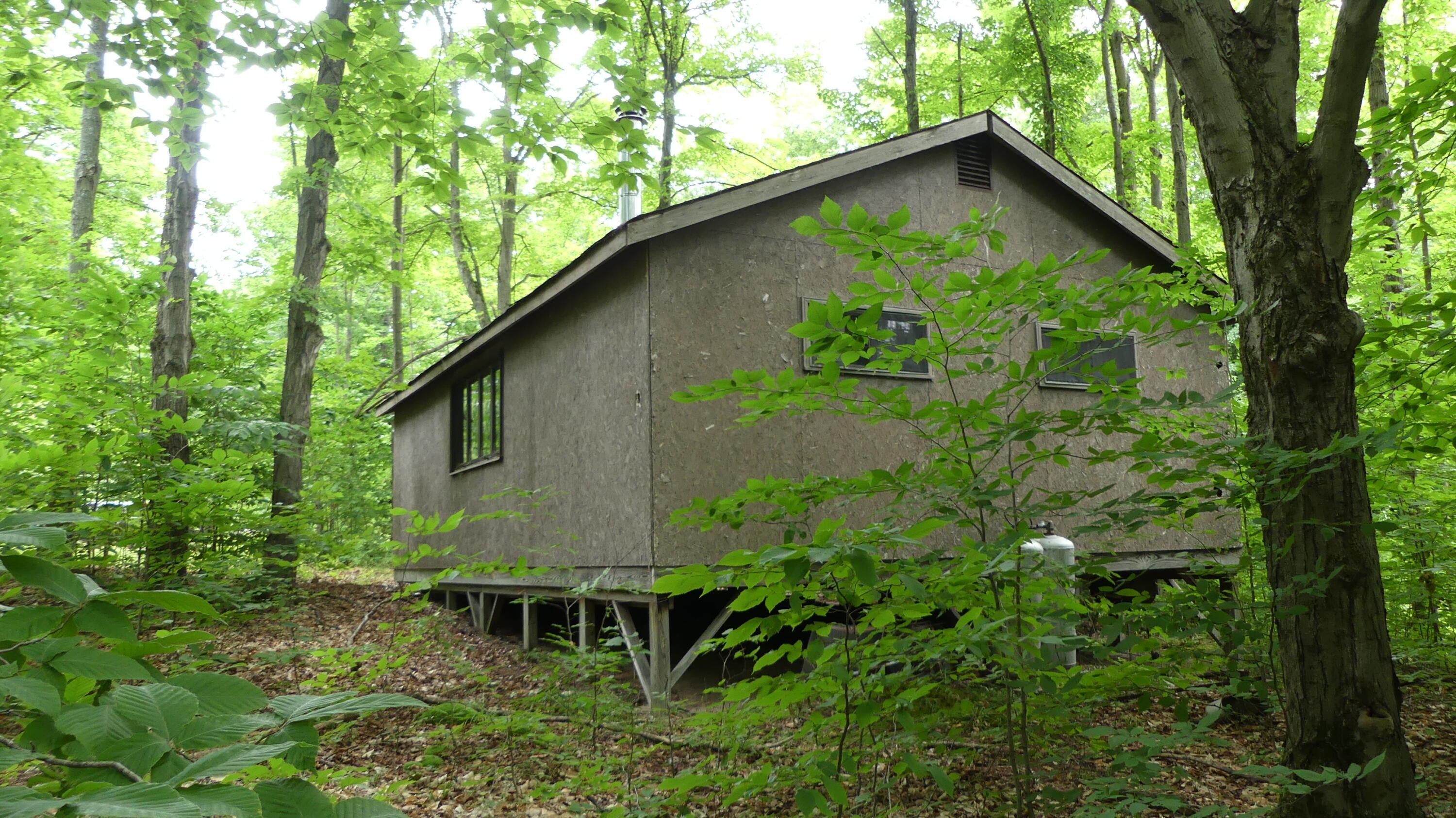 12017 Marilla Road Copemish, MI 49625 - Photo 26 of 43 P1050967