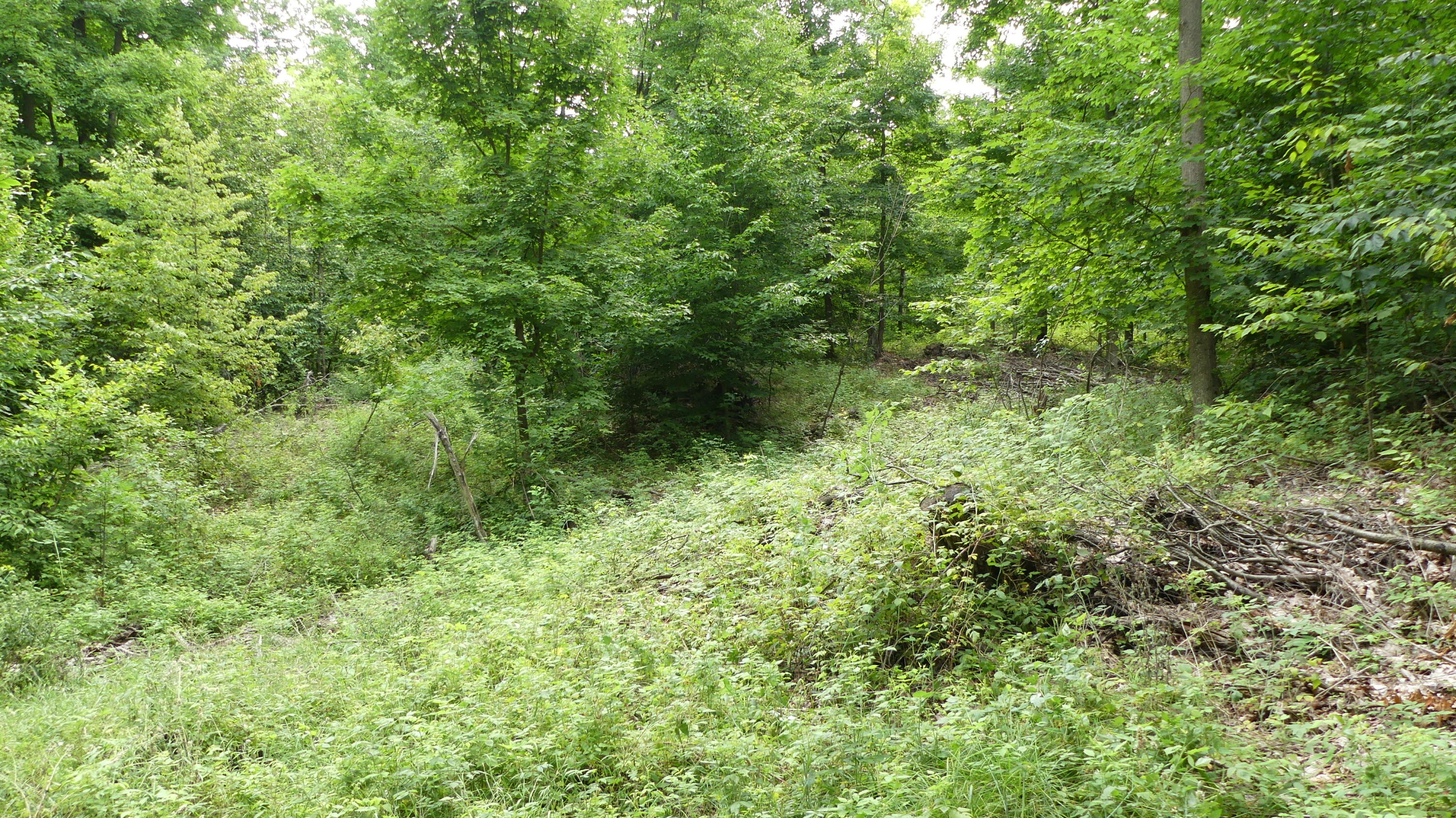 12017 Marilla Road Copemish, MI 49625 - Photo 29 of 43 P1050975