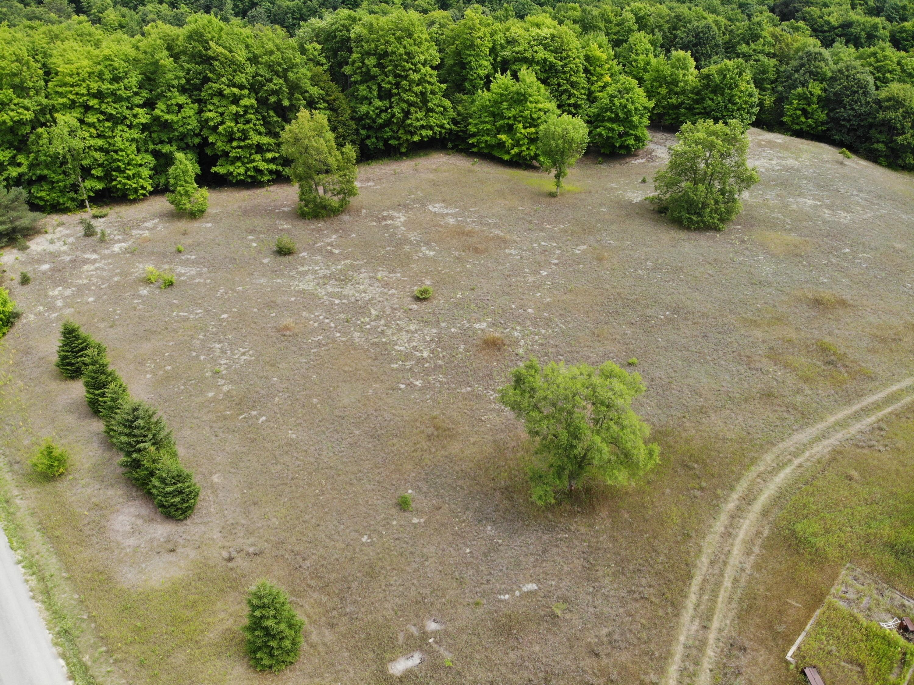 12017 Marilla Road Copemish, MI 49625 - Photo 3 of 43 DJI_0214