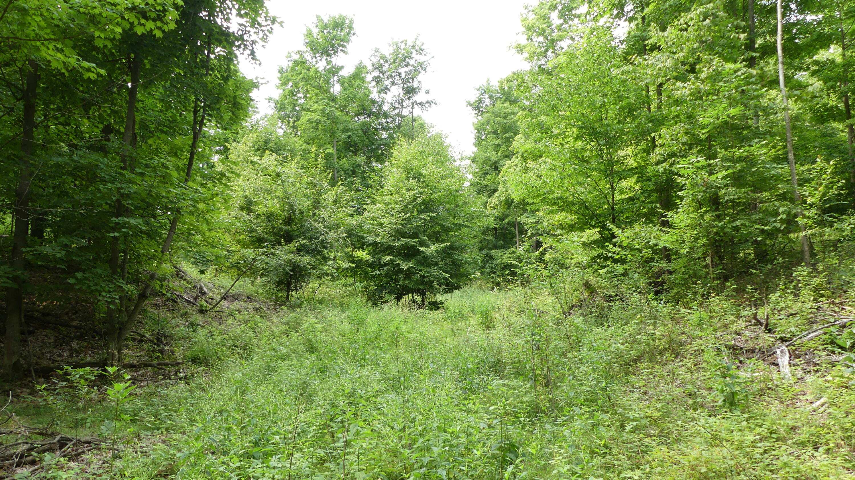 12017 Marilla Road Copemish, MI 49625 - Photo 37 of 43 P1050986