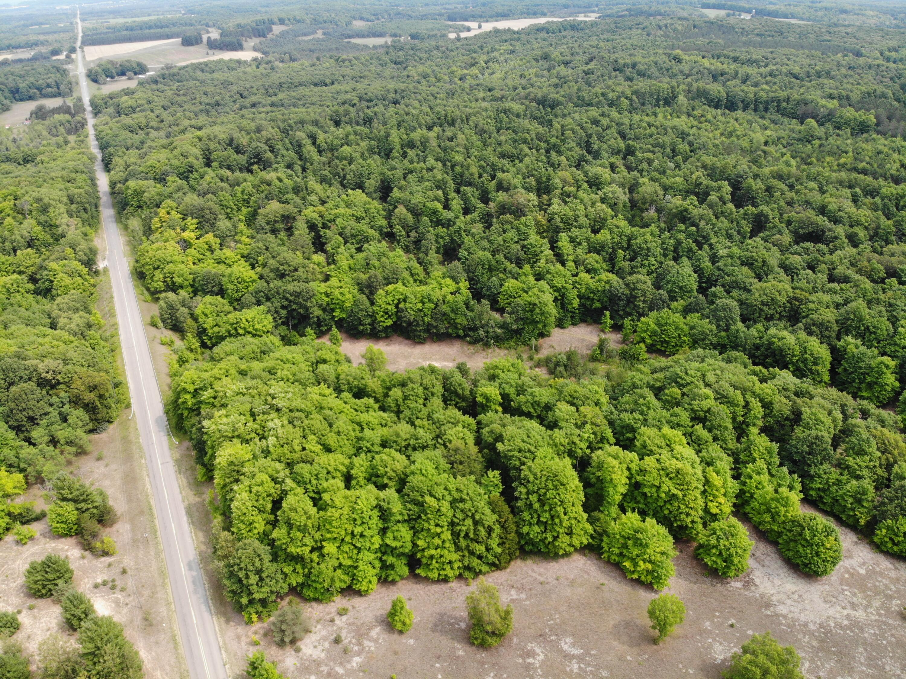 12017 Marilla Road Copemish, MI 49625 - Photo 5 of 43 DJI_0219