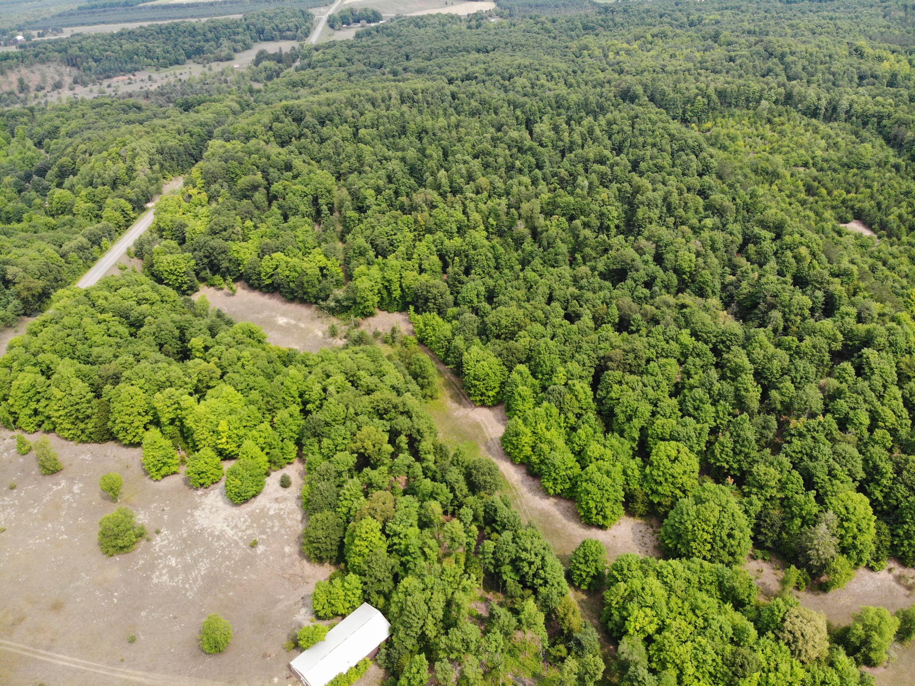 12017 Marilla Road Copemish, MI 49625 - Photo 6 of 43 DJI_0224