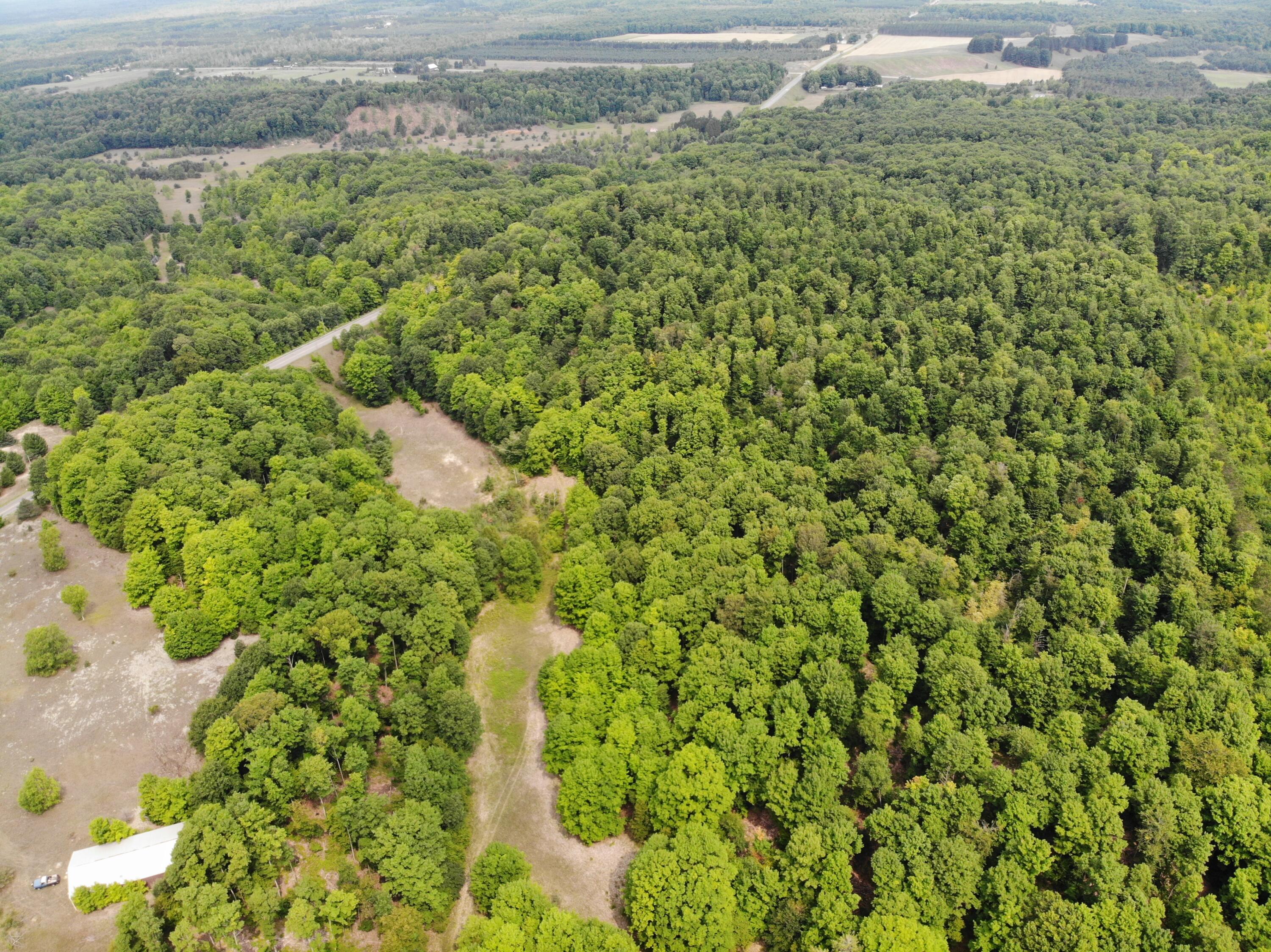 12017 Marilla Road Copemish, MI 49625 - Photo 7 of 43 DJI_0227