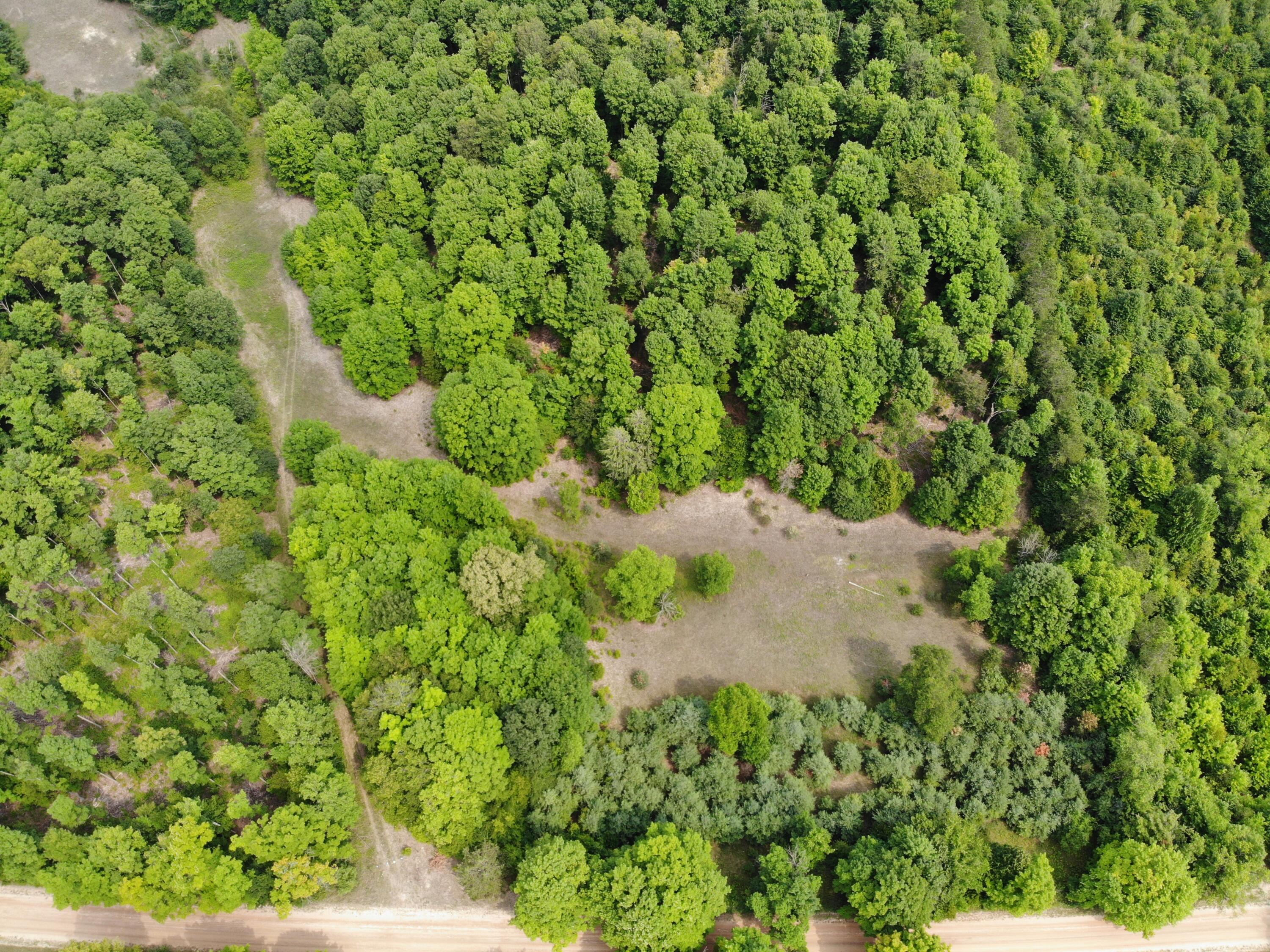 12017 Marilla Road Copemish, MI 49625 - Photo 8 of 43 DJI_0229