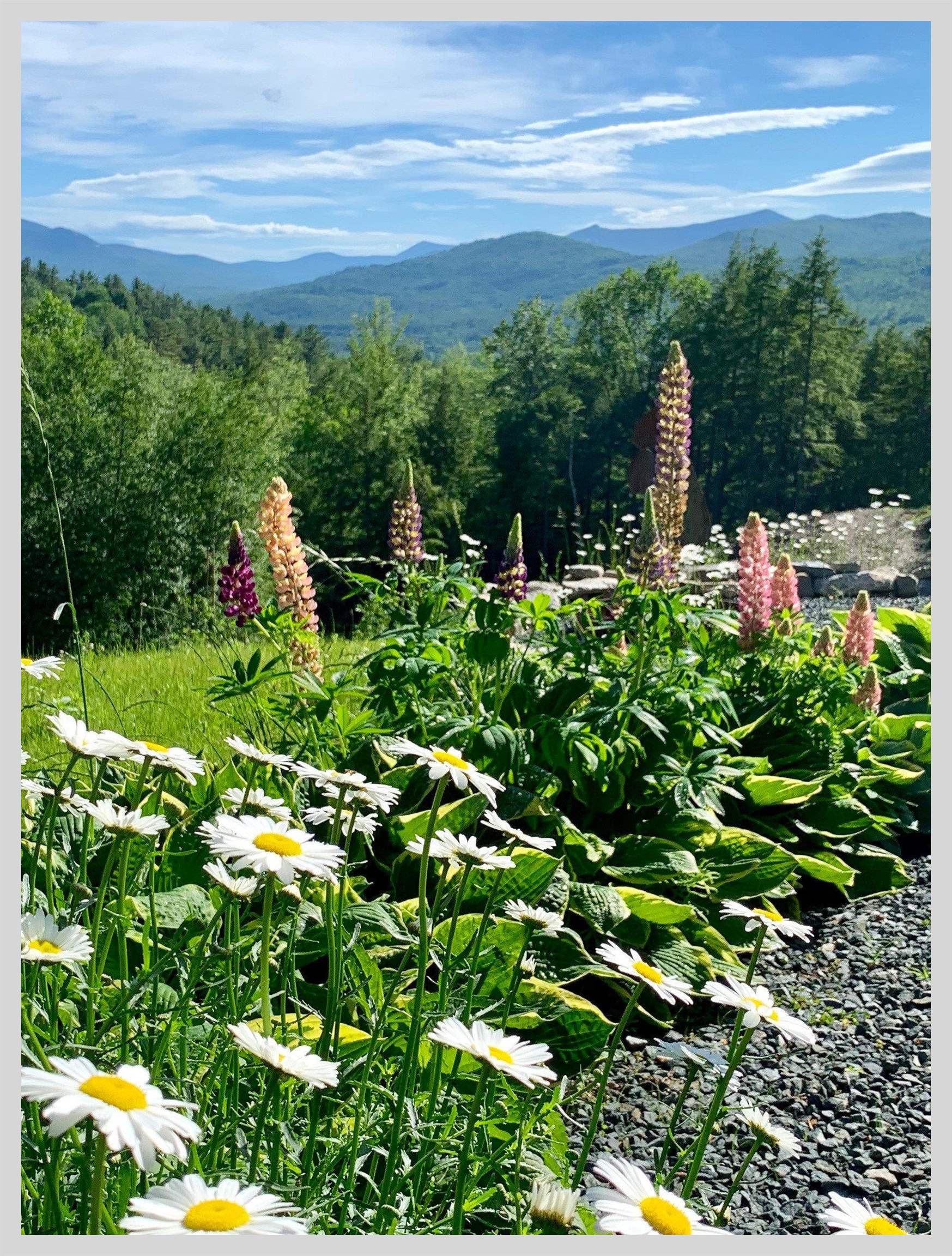 21 Quarry Road Campton, NH 03223 - Photo 42 of 59