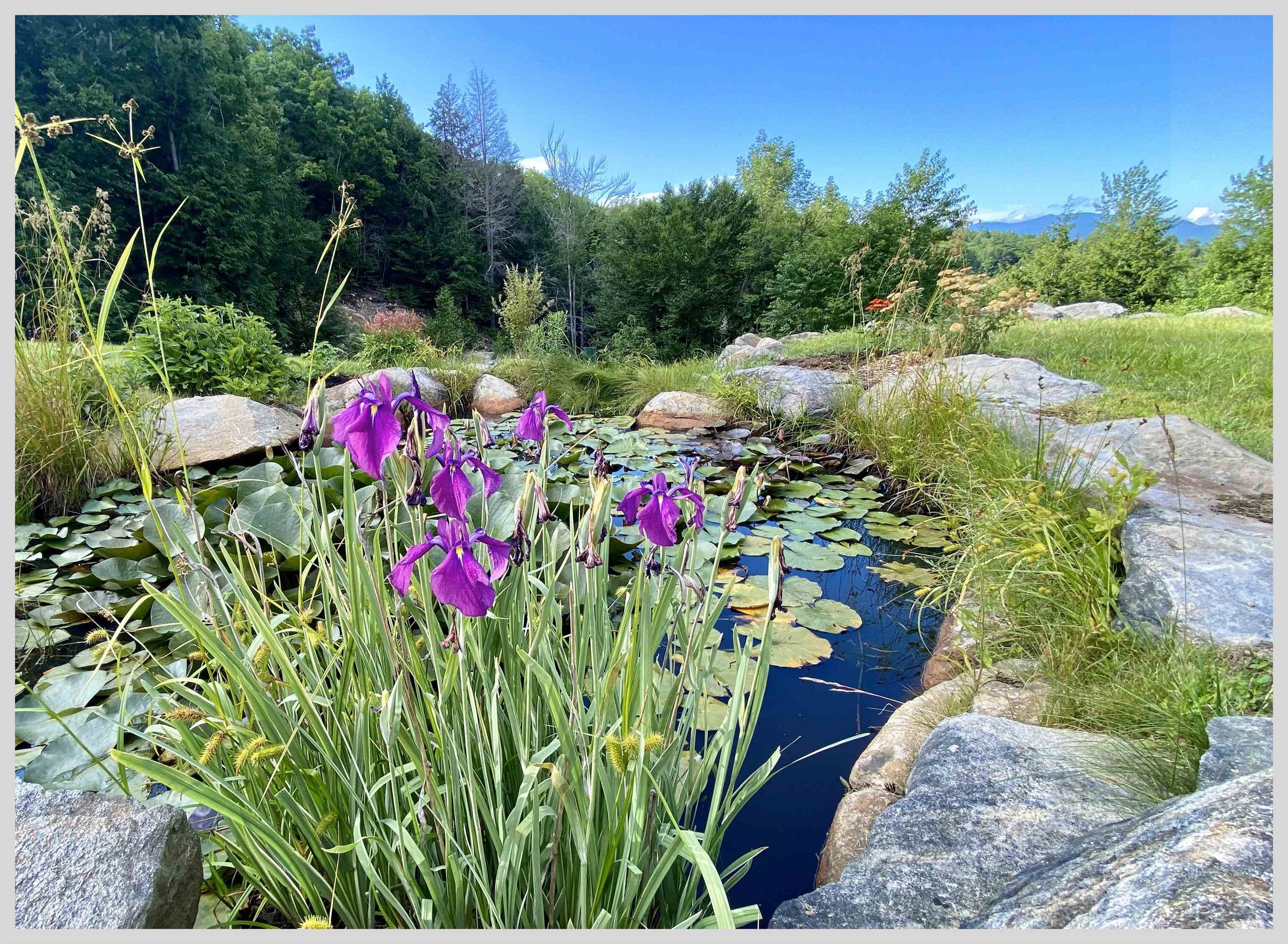 21 Quarry Road Campton, NH 03223 - Photo 43 of 59