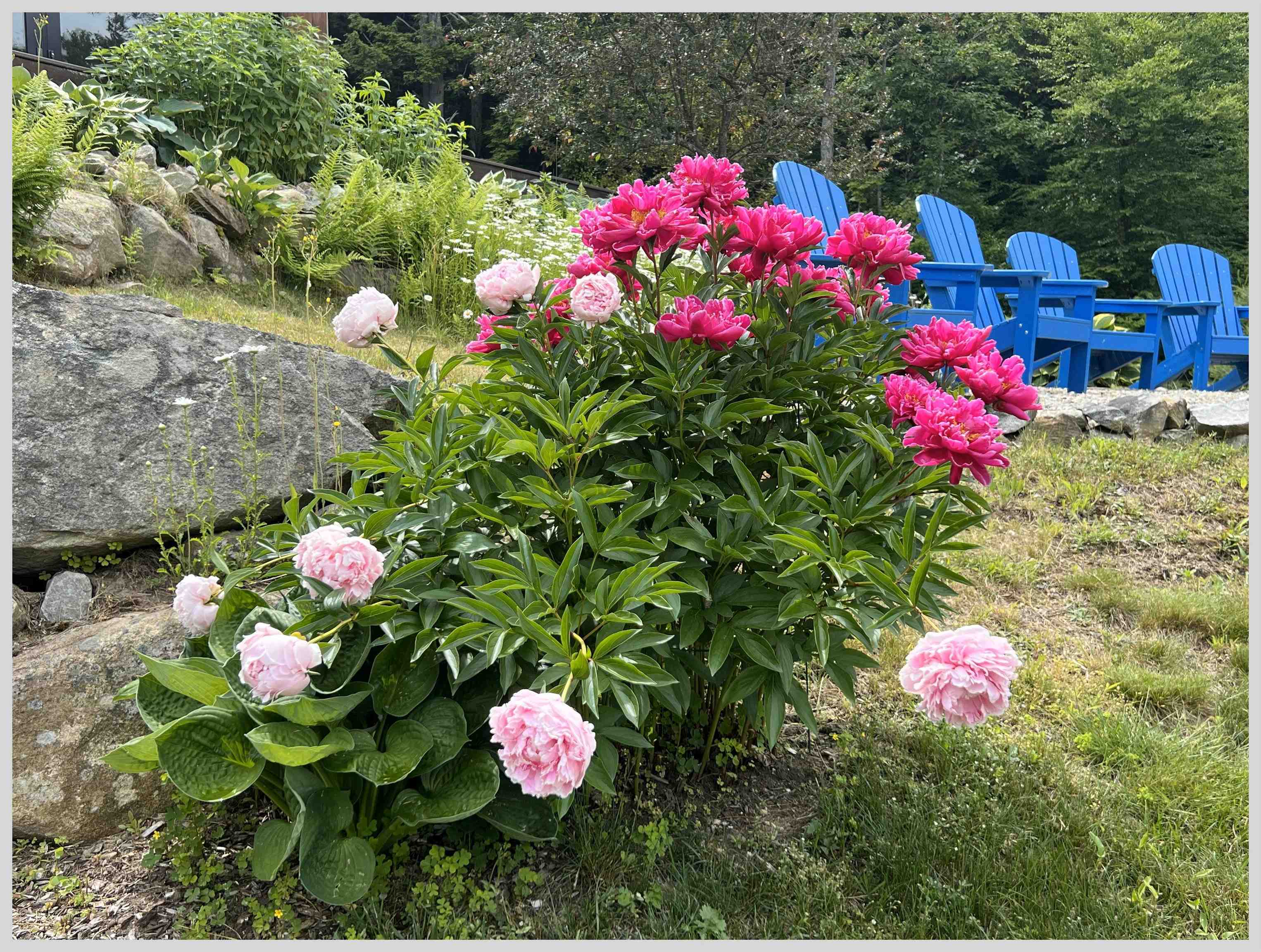 21 Quarry Road Campton, NH 03223 - Photo 44 of 59