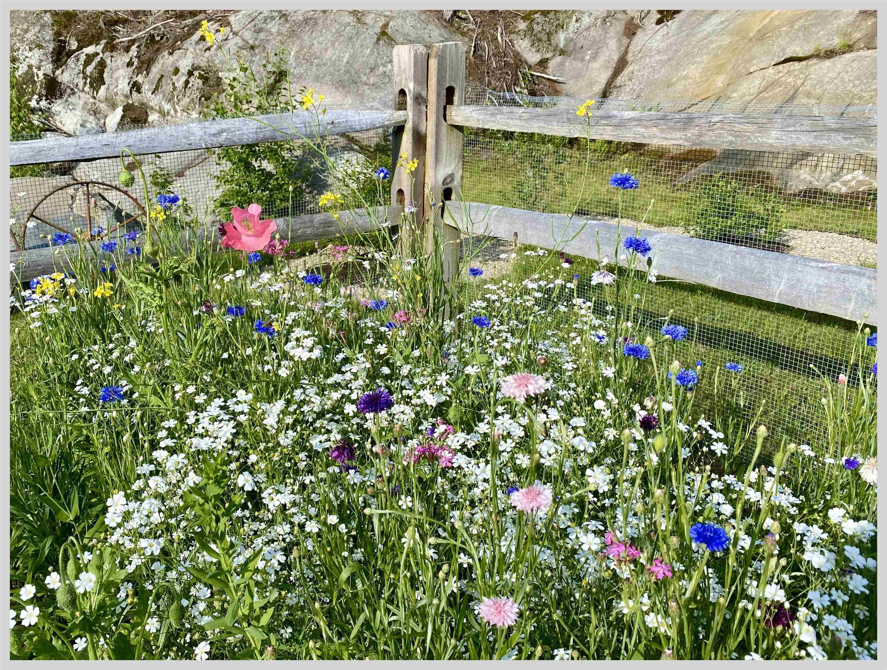 21 Quarry Road Campton, NH 03223 - Photo 51 of 59