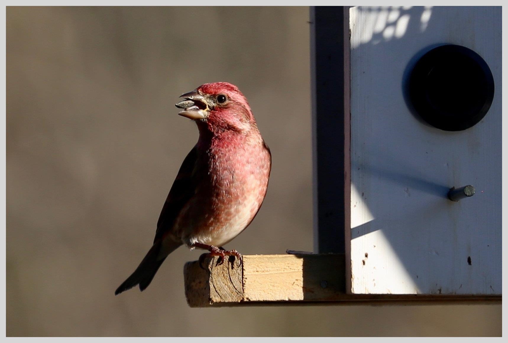 21 Quarry Road Campton, NH 03223 - Photo 55 of 59