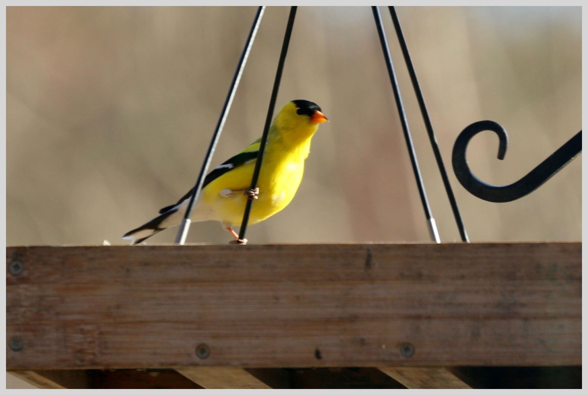 21 Quarry Road Campton, NH 03223 - Photo 56 of 59