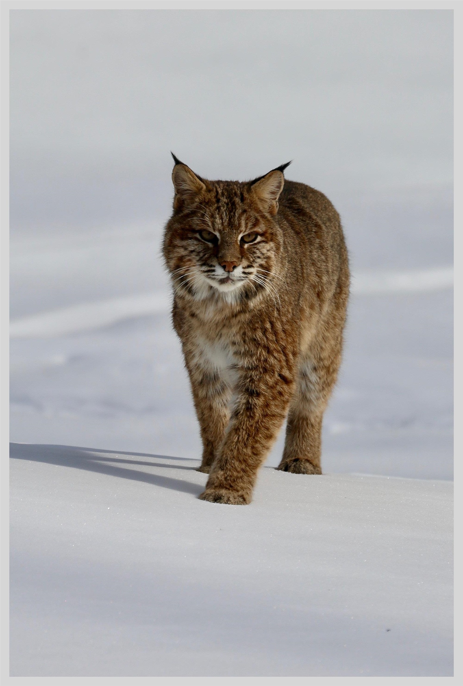 21 Quarry Road Campton, NH 03223 - Photo 59 of 59