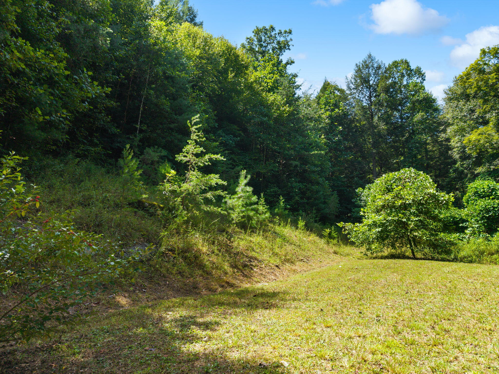 0 Flat Mary Road Campton, KY 41301 - Photo 24 of 26 24-web-or-mls-DJI_20260816125915_0095_D