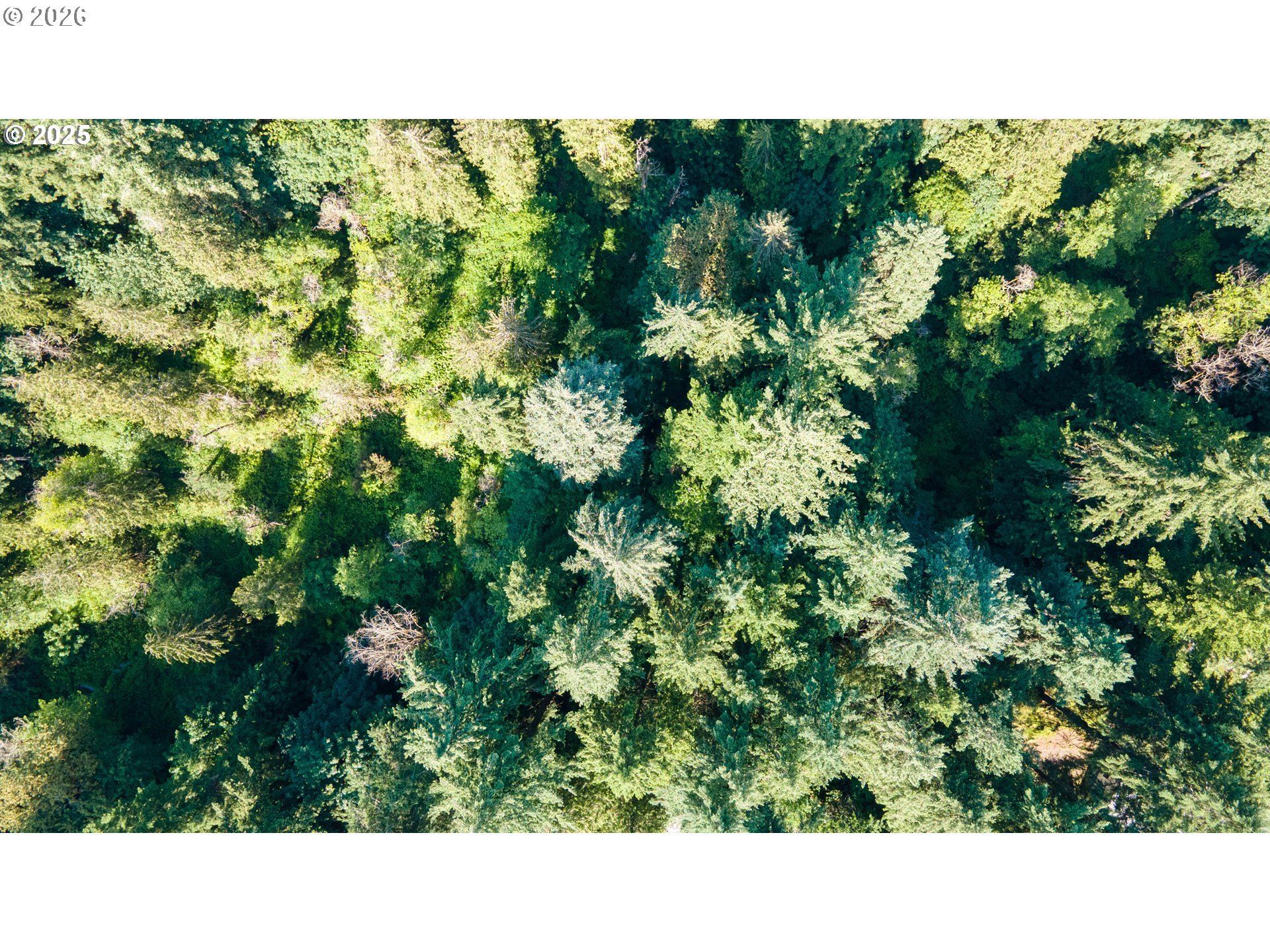 0 Northeast 45th Avenue Vancouver, WA 98686 - Photo 11 of 13 a black and white photo of a house
