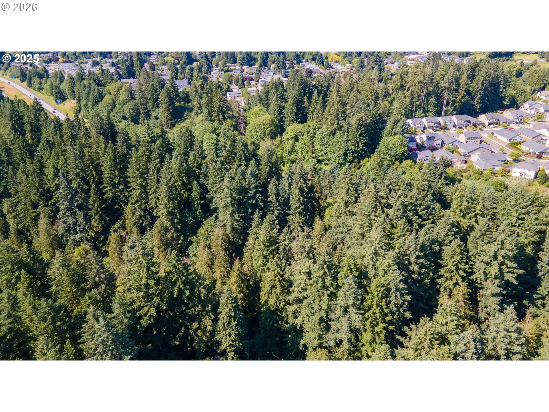 0 Northeast 45th Avenue Vancouver, WA 98686 - Photo 13 of 13 a open area with lots of trees