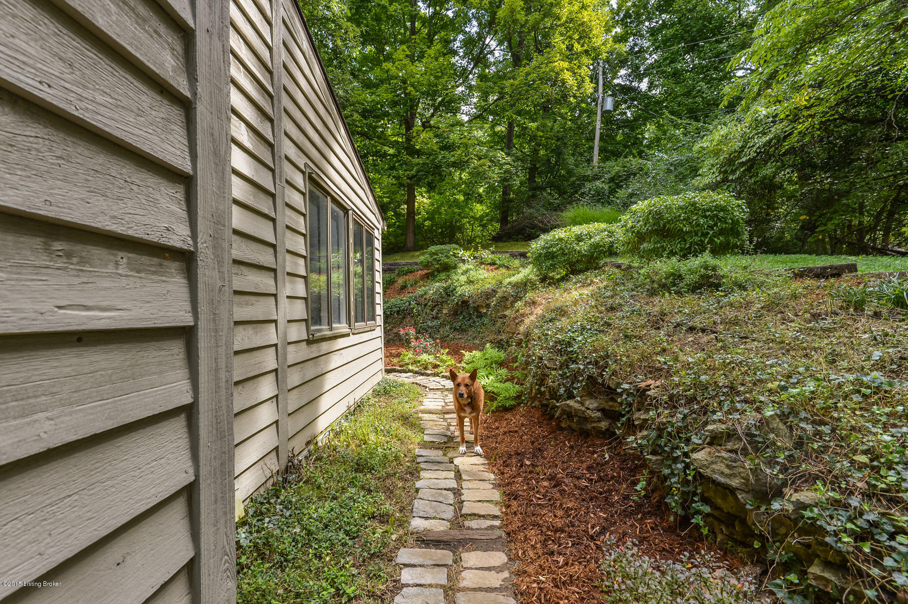 3501 Woodside Road Glenview, KY 40025 - Photo 8 of 33 44