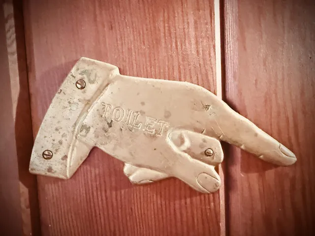 a view of a house with a yard and garage