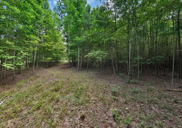 $175,000 | 205 Whiskey Way, Unit JF375, Jasper, TN 37347