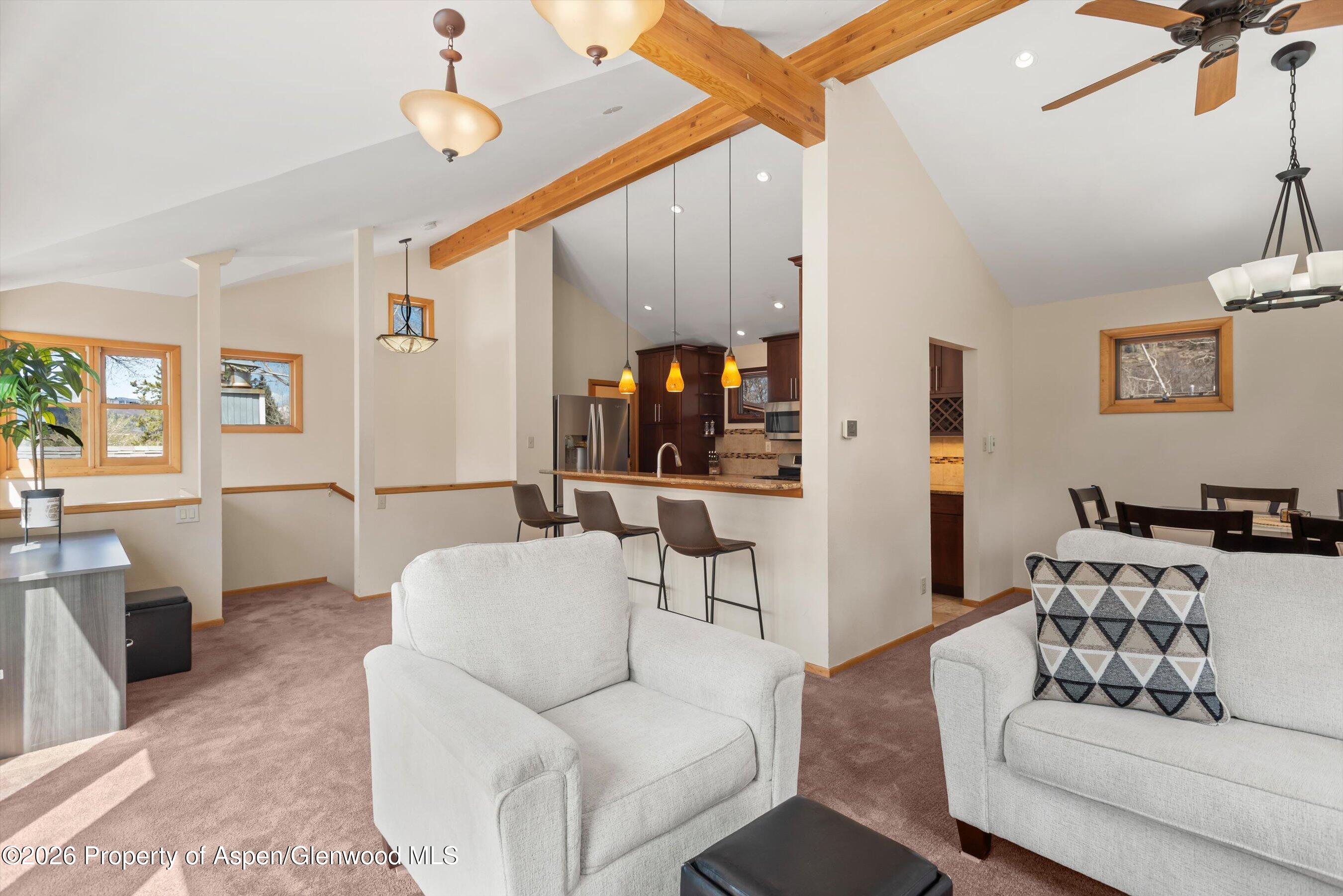 53 Spruce Street, Unit S 1 AND 2 Aspen, CO 81611 - Photo 34 of 67 05-05-536SpruceSt_250429005