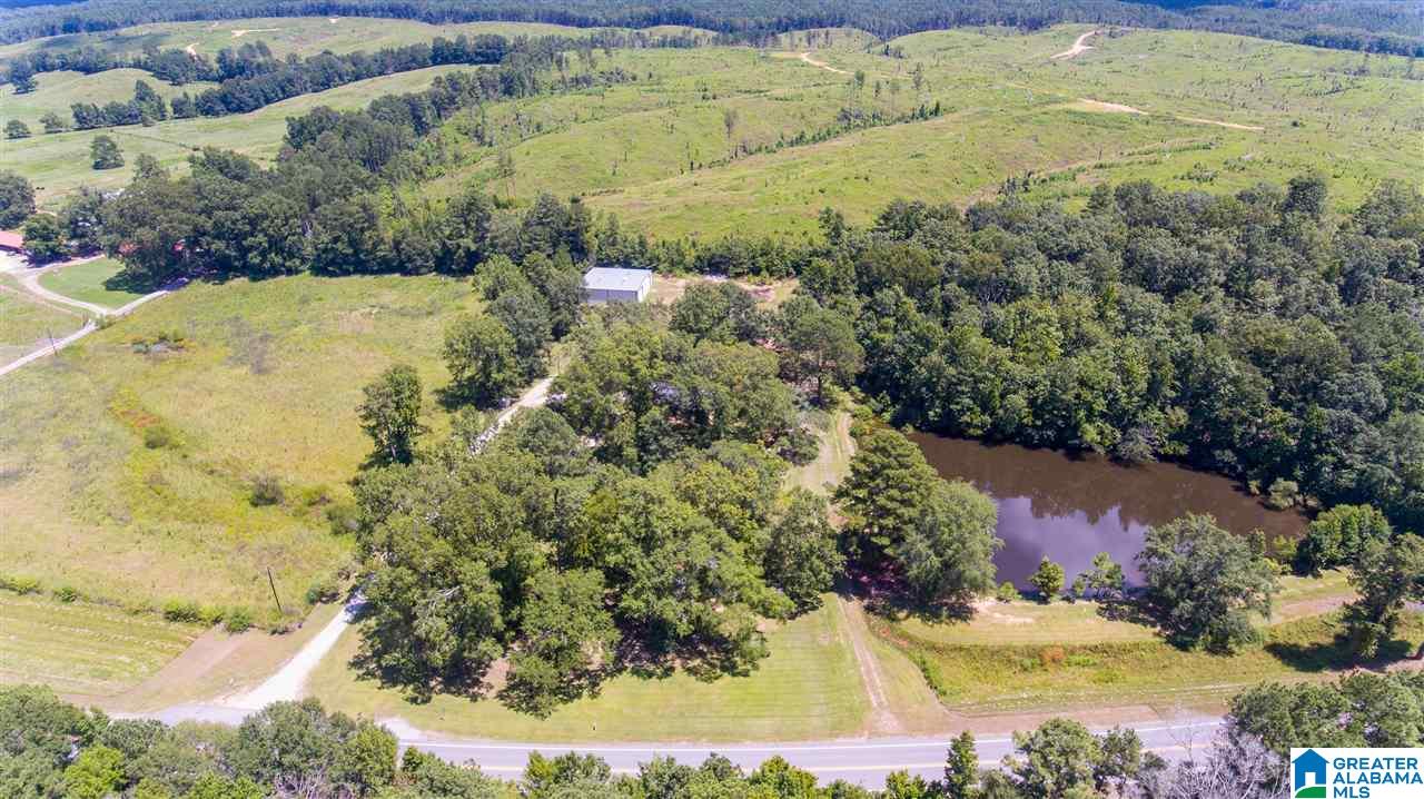29200 Highway 31 Calera, AL 35040 - Photo 4 of 50