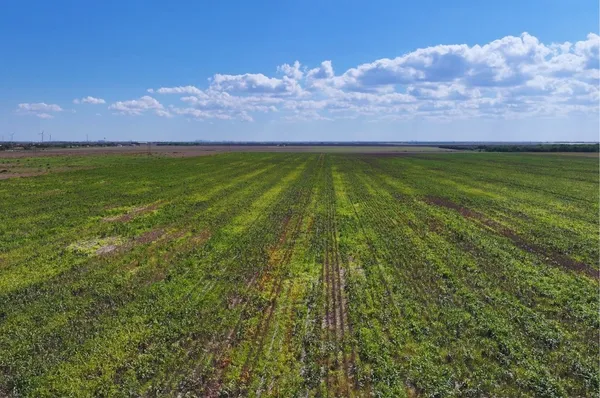 a view of swimming pool and mountain in the background