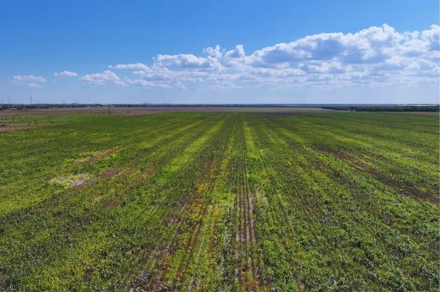 $99,900 | Tbd County Rd 2367, Odem, TX 78370