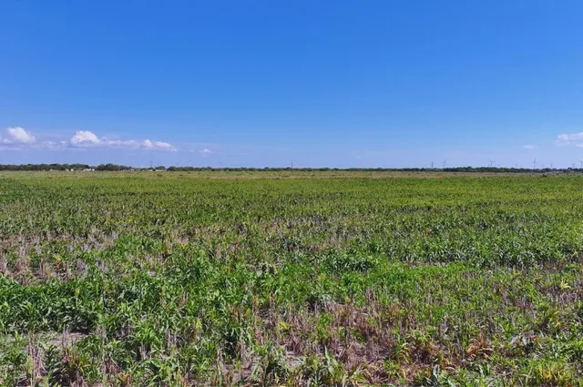 $99,900 | Tbd County Rd 2367, Odem, TX 78370