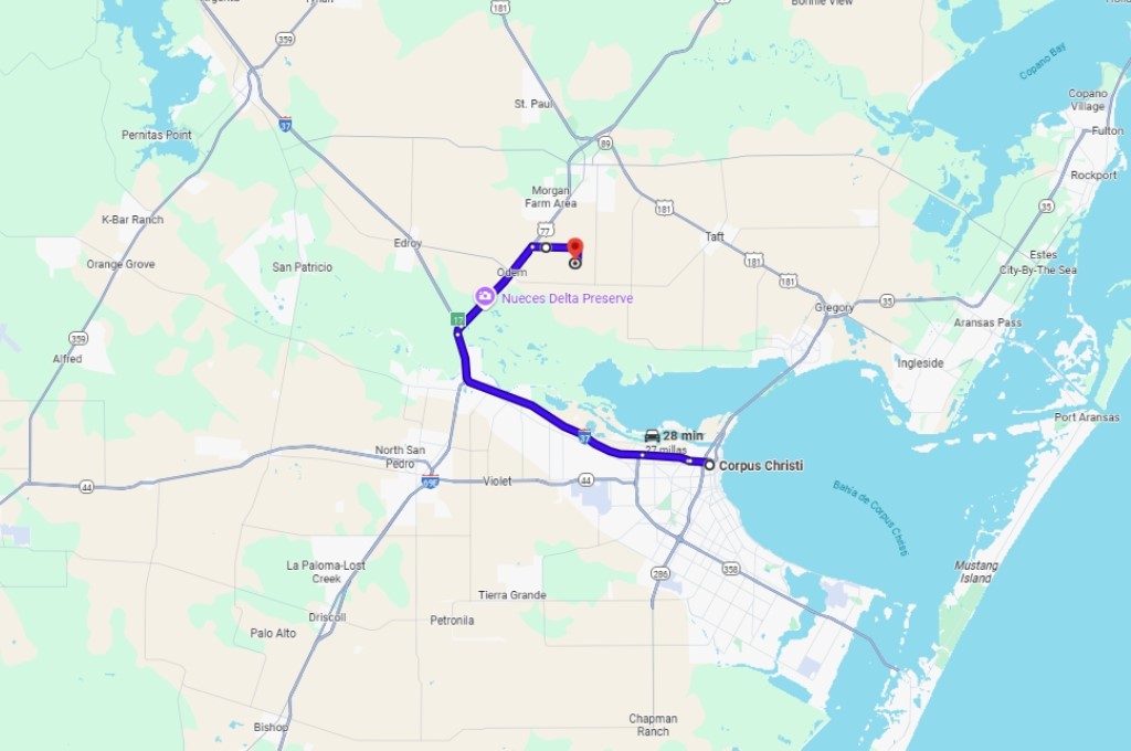 Tbd County Rd 2367 Odem, TX 78370 - Photo 7 of 7 a view of a of a building