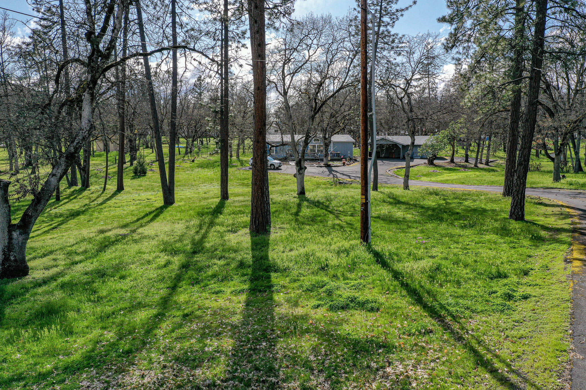 11433 Michael Road White City, OR 97503 - Photo 15 of 16 DJI_0618 (2)